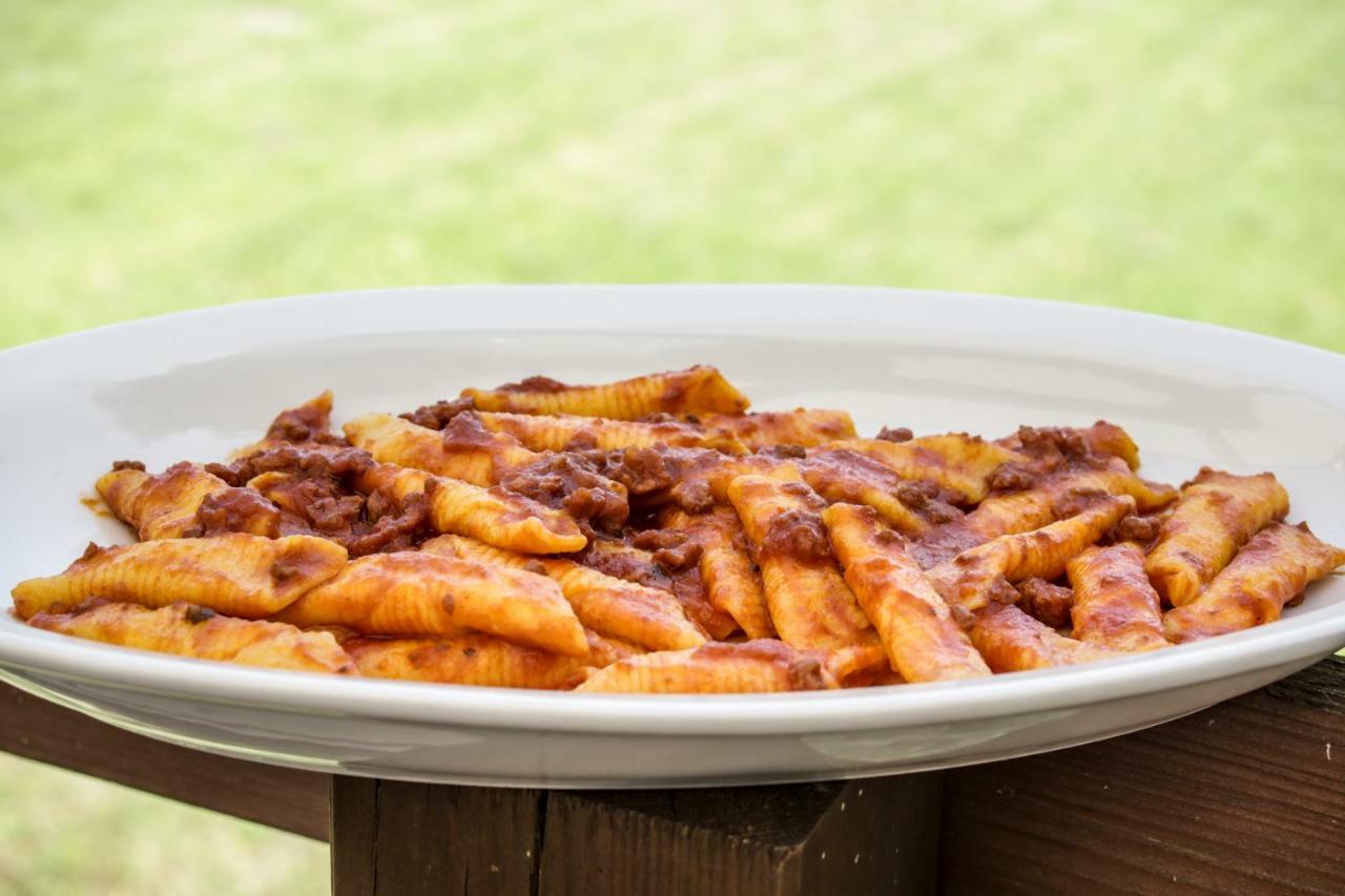 Agriturismo E Cantina La Sabbiona Faenza Exteriér fotografie