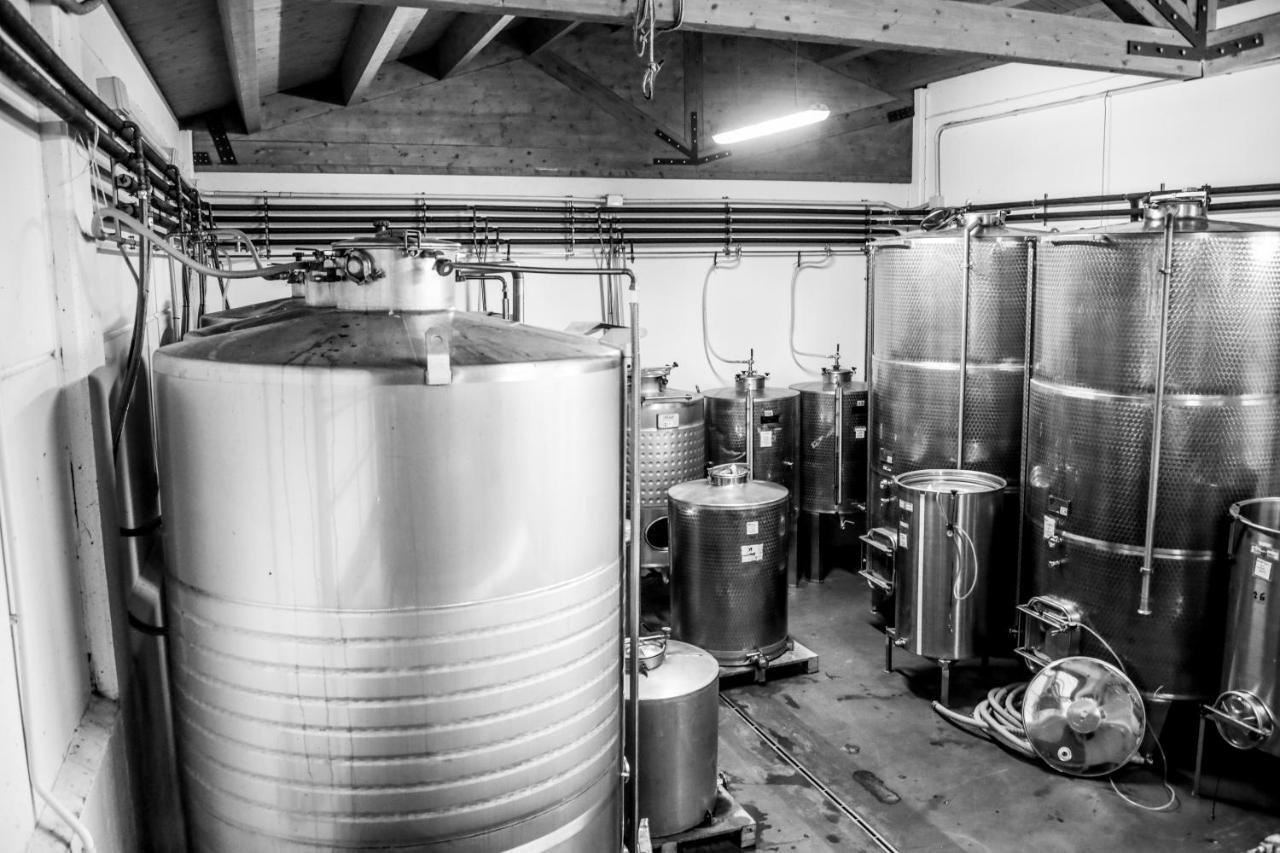 Agriturismo E Cantina La Sabbiona Faenza Exteriér fotografie